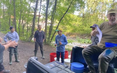 15’000 Alevins à l’eau, juillet 2020, Jolie journée d’alevinage dans les rivières de la Veveyse